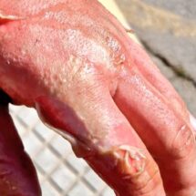 El incendio de una sartén con aceite en Tomares alerta sobre un error doméstico muy peligroso