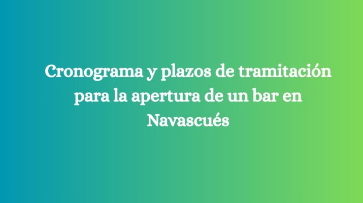 Cronograma y plazos de tramitación para la apertura de un bar en Navascués