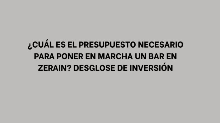 ¿Cuál es el presupuesto necesario para poner en marcha un bar en Zerain? Desglose de inversión